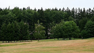 DSC-8032.jpeg