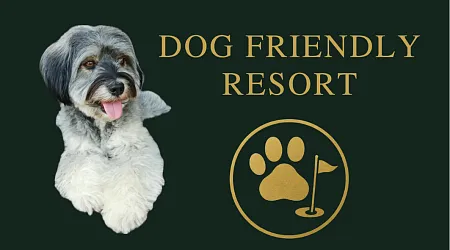 Dog friendly