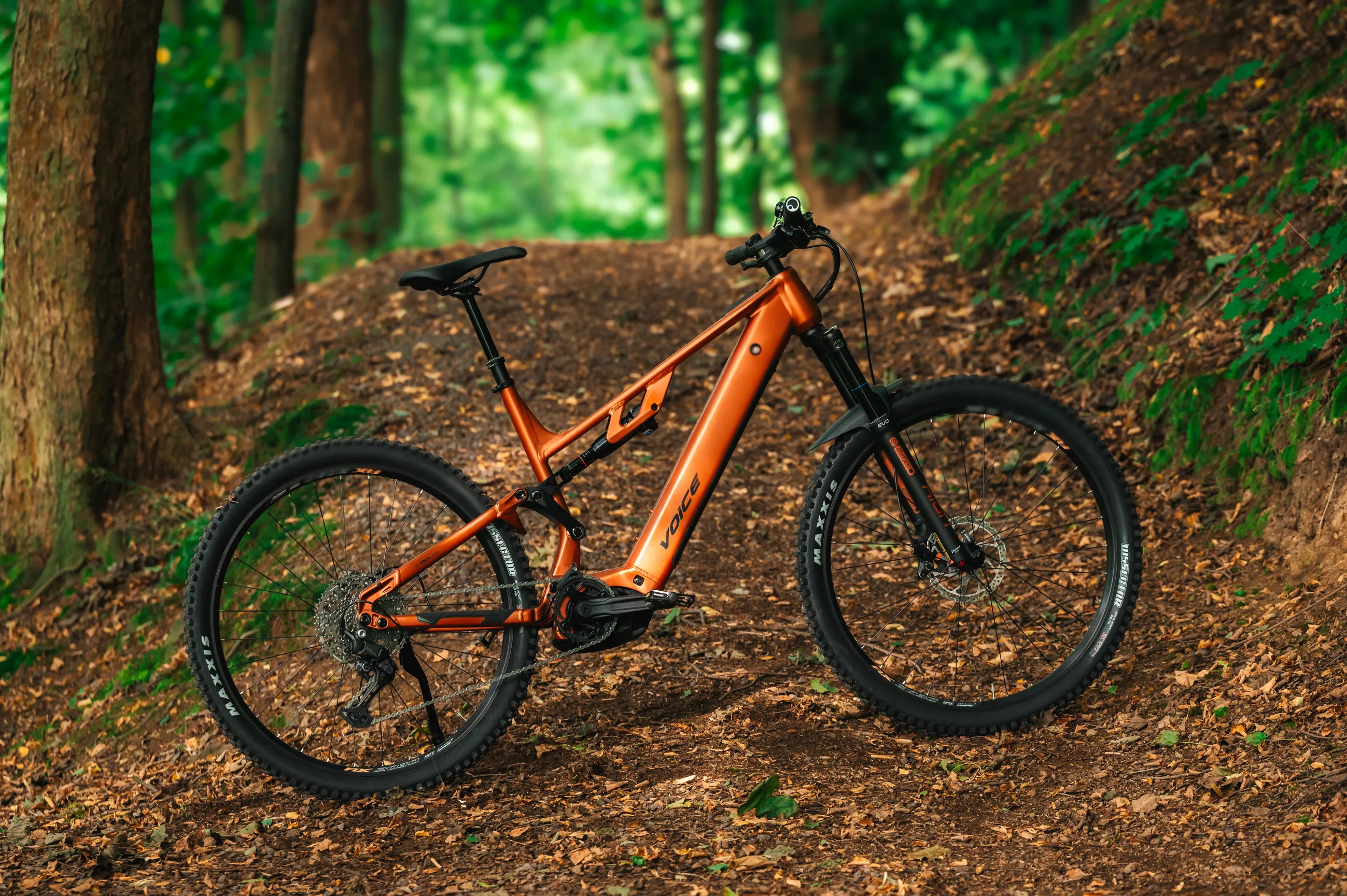 Půjčovna elektrokol